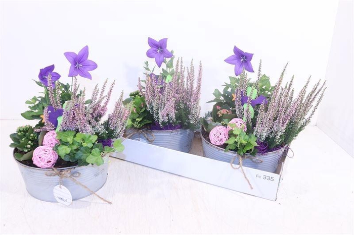 <h4>ARR TUINPLANTEN</h4>