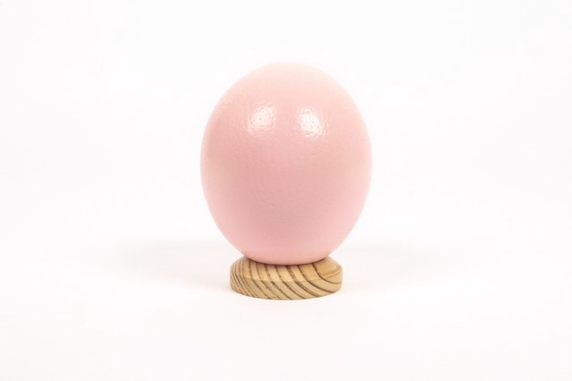 Egg ostrich paint pink