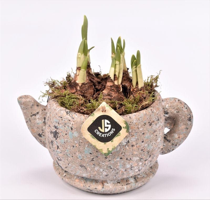 <h4>Cement theepot 22cm</h4>