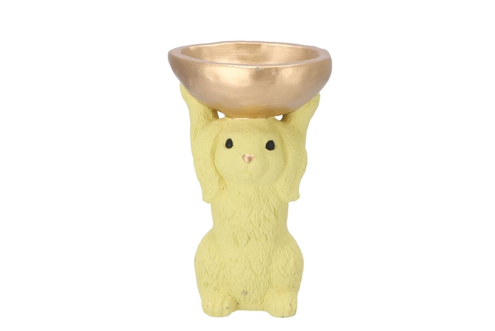 <h4>Easter Bunny-bowl Yellow 15x13x23cm Nm</h4>