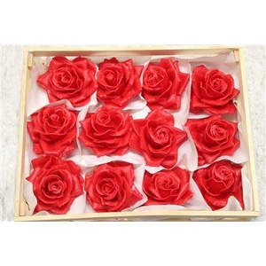 Wax Roos Rood