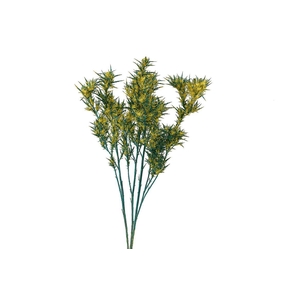 Dried Artz Cardi Van Gogh Bunch