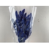 Dried Phalaris Dark Blue Bunch