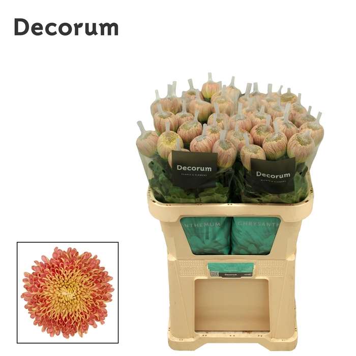 <h4>CHR G COUTURE BLUSH</h4>