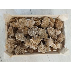 Desert Rose L30W20H12