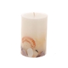 Candle Beach Shell H15D10