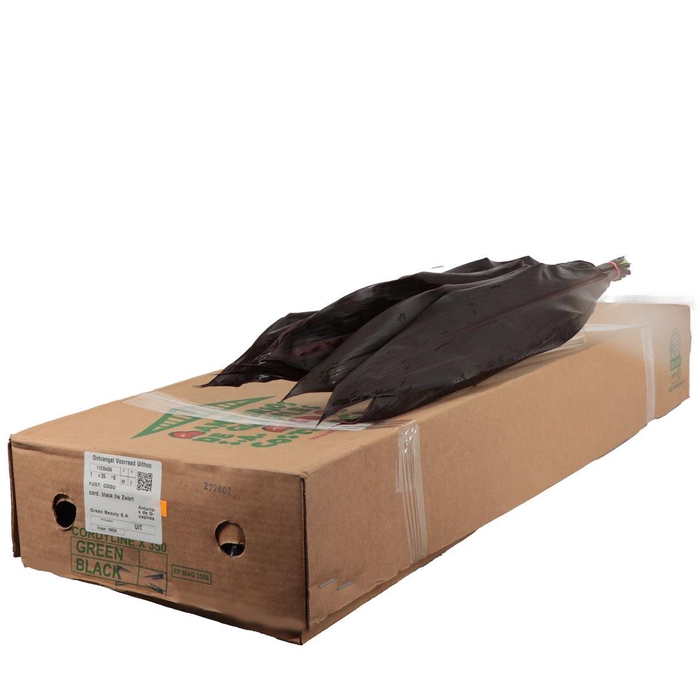 <h4>Cord. Black Tie</h4>