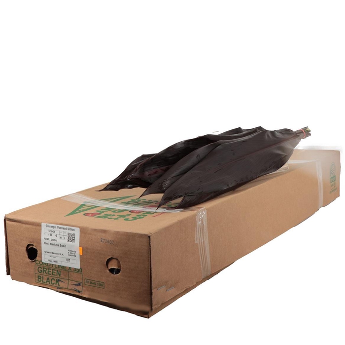 <h4>Cord. Black Tie</h4>