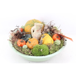 arr4 Sierfruit MB - Zink schaal groen