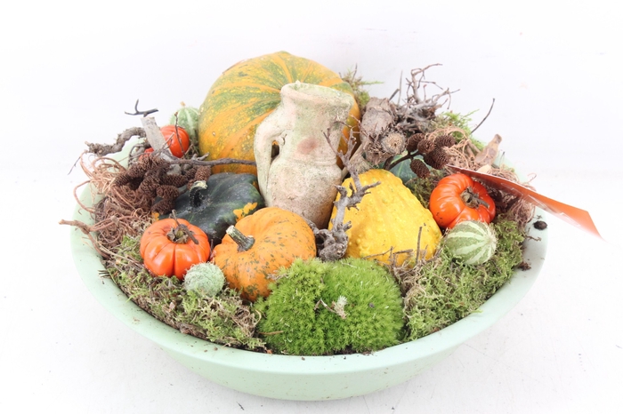 <h4>arr4 Sierfruit MB - Zink schaal groen</h4>