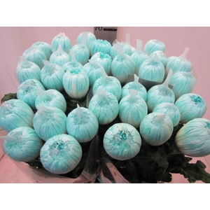 Chr G Antonov Pastel Mint