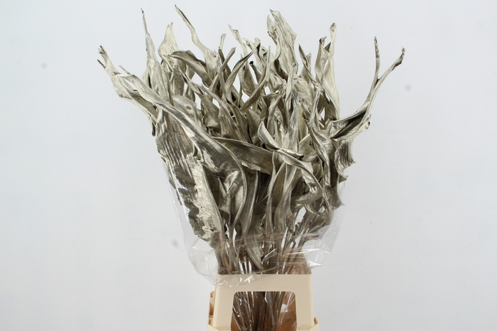 <h4>DF Strelitzia Leaf Platinum</h4>