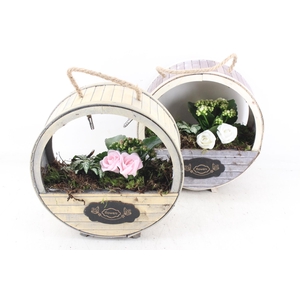 arr2 TD - Houten wiel - roze/wit