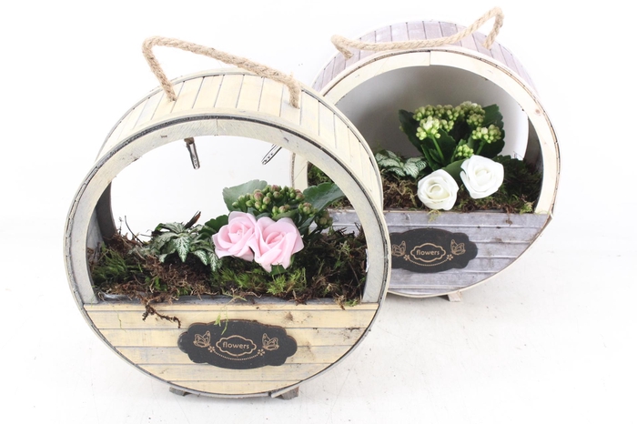 <h4>arr2 TD - Houten wiel - roze/wit</h4>