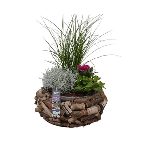 PTSO8325 Arrangement Summer Outdoor in houten bak