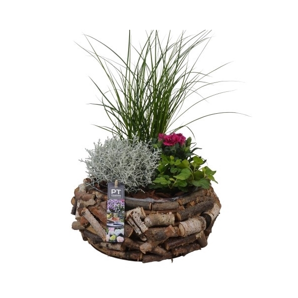 <h4>PTSO8325 Arrangement Summer Outdoor in houten bak</h4>