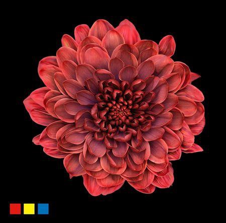 <h4>Chr T Altaj Joker</h4>