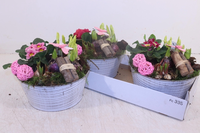 <h4>ARR TUINPLANTEN</h4>