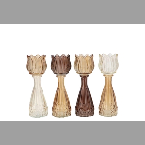 Bicolore Natural Brown Mix Tulip Vase Ass 7x18cm Nm