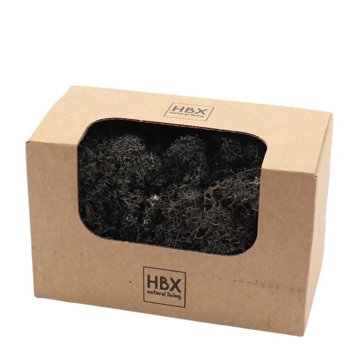 <h4>Preserved Reindeermoss 50g</h4>