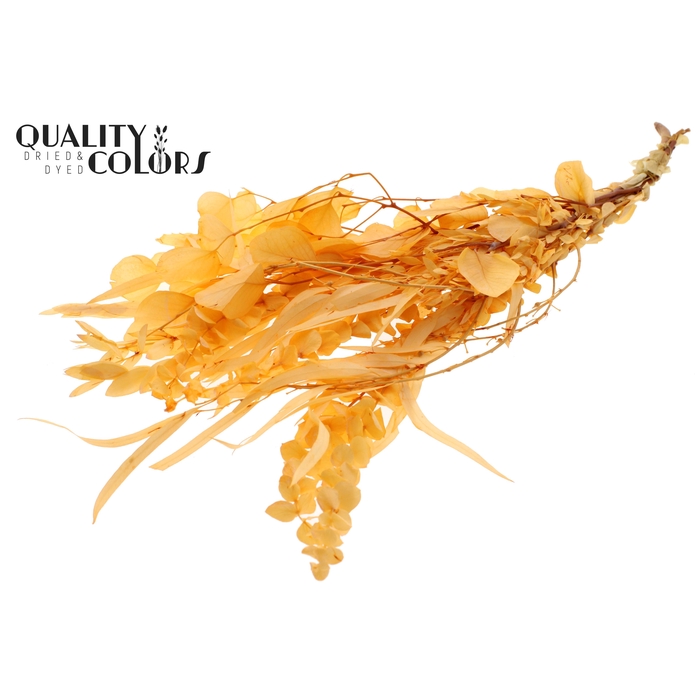 <h4>Eucalyptus Mix Preserved Bleached Salmon</h4>