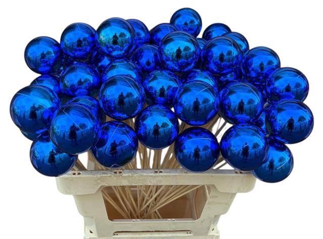 <h4>KUGEL AUF STAB H% BLAU GLANZ</h4>