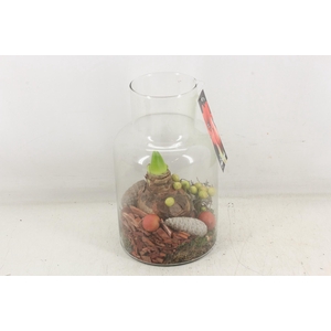 arr4 Amaryllis MB - Glas milano 338/6 RED