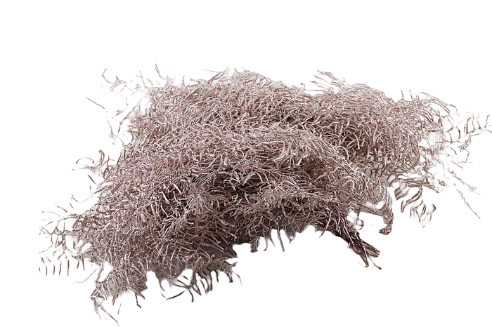 <h4>Koraalvaren Klb Champagne X5</h4>