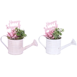 Womens Day Arr. Indoor Zinc Wateringcan With Rope Ø26cm 2PP