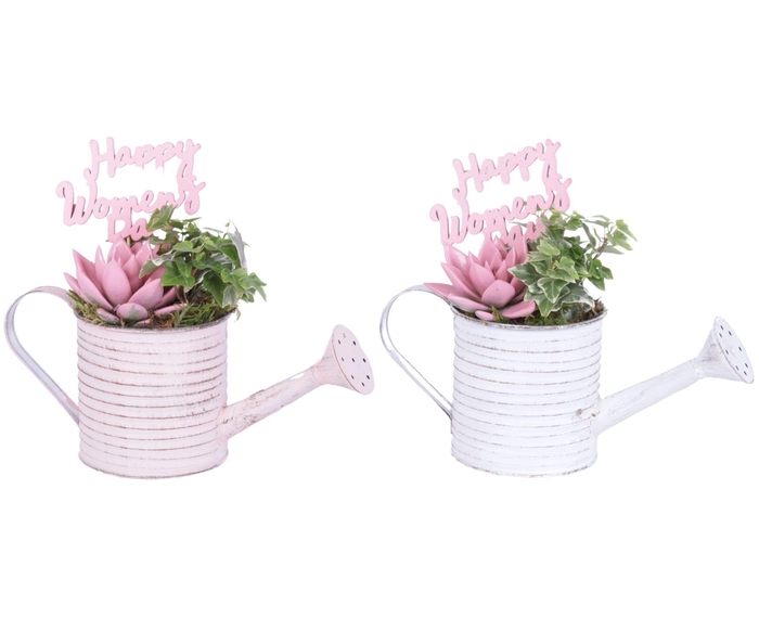<h4>Womens Day Arr. Indoor Zinc Wateringcan With Rope Ø26cm 2PP</h4>