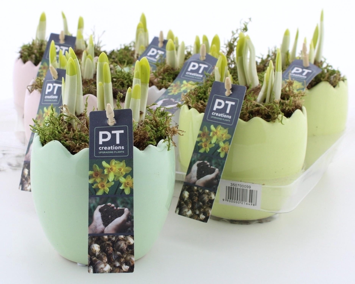 <h4>ARR N TETE A TETE</h4>