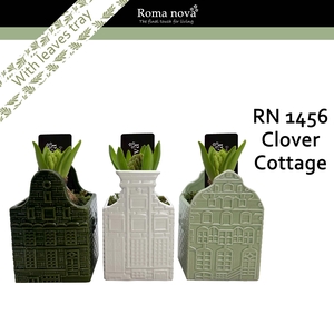 1456 - Clover Cottage (Hyacint)
