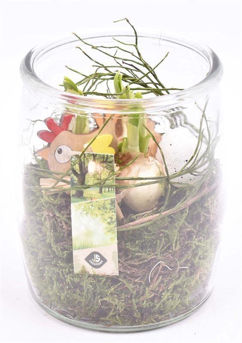 <h4>Glas cilinder bol 14cm</h4>