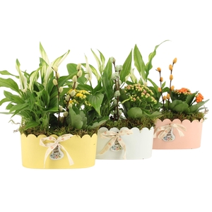 70858: Easter arrangement