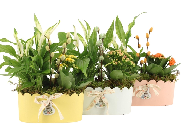 <h4>70858: Easter arrangement</h4>