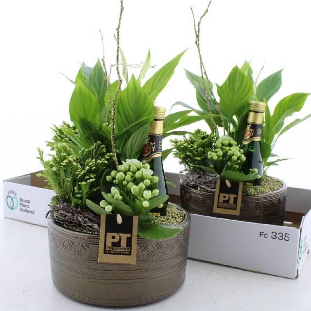 <h4>ARR KAMERPL</h4>