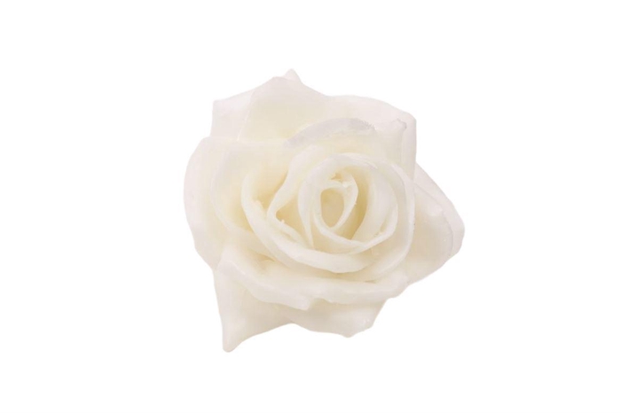 <h4>Wax Rose D10 Cream</h4>