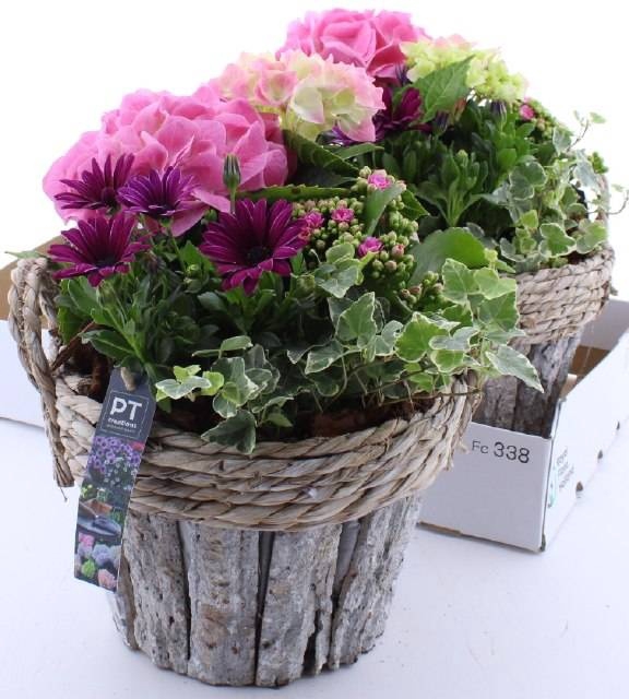 <h4>ARR TUINPLANTEN</h4>