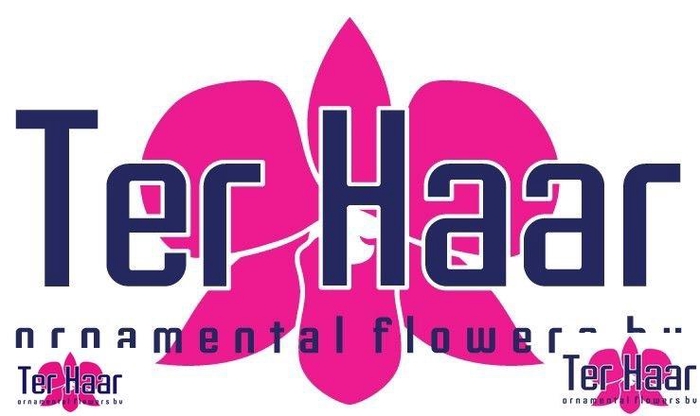 <h4>DRAC SAN VICTORY</h4>