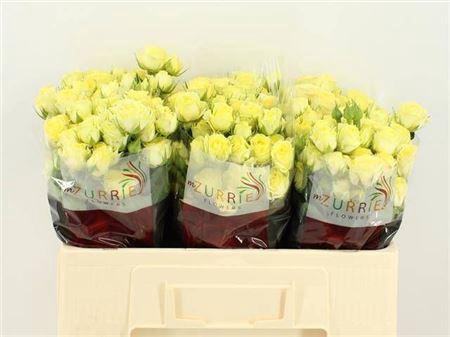 <h4>R Tr Wedding Invite</h4>