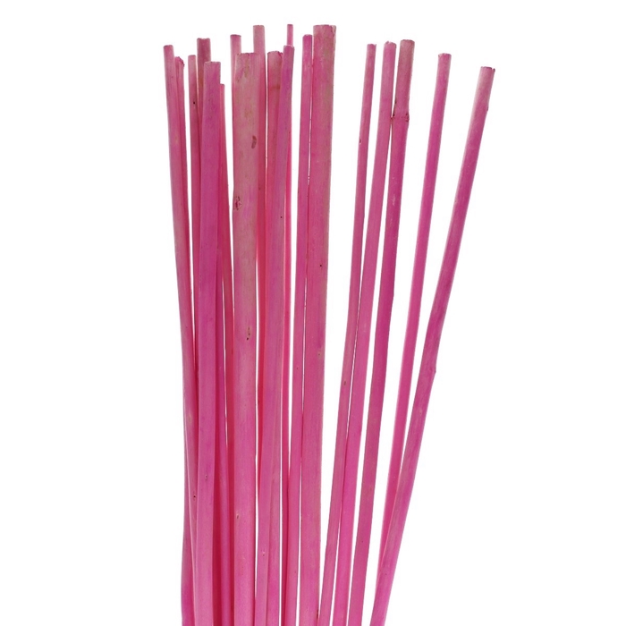 <h4>Dried articles Bamboostick 100cm x20</h4>