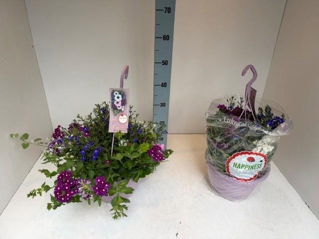 <h4>PERKPL GEM IN POT</h4>