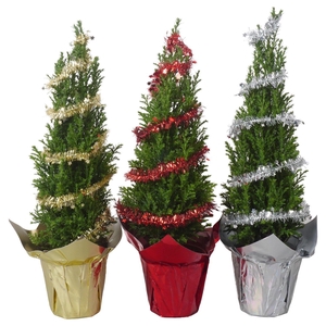 PTK25145 Ellwoodii in glimmende potcover mix met deco