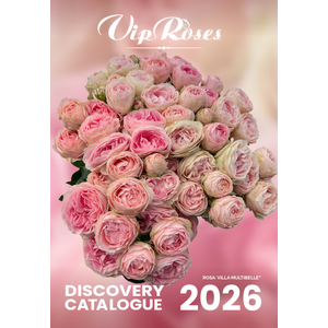 BROCHURE (ROSES) VIP ASSORTMENT 2026