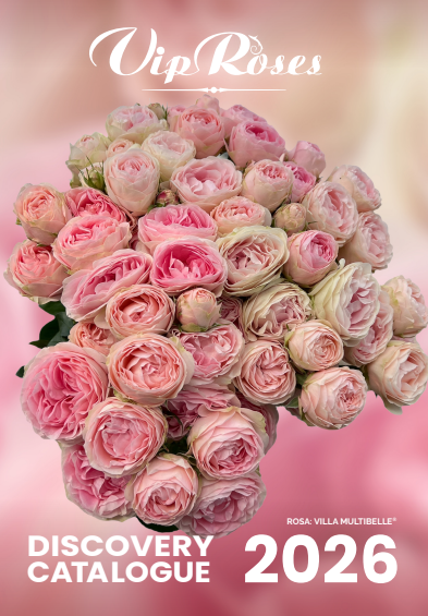 <h4>Brochure (roses) Vip Assortment 2026</h4>