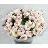 Ranunculus Clooney Hanoi Super