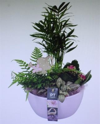 <h4>6318 KER ROZE CHAM</h4>