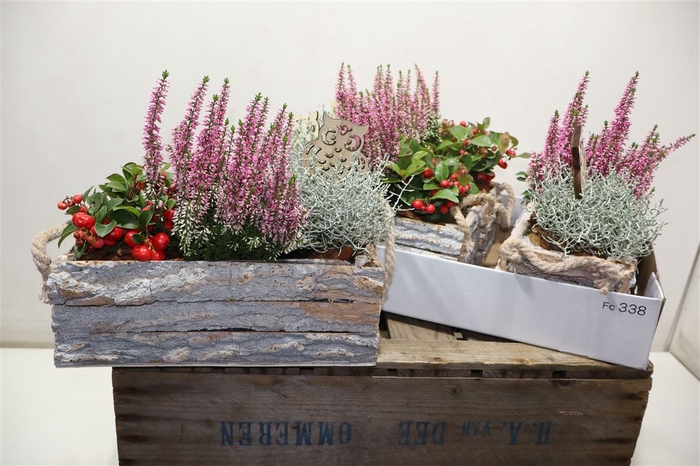 <h4>Arr Tuinplanten In Houtschors Bakje</h4>