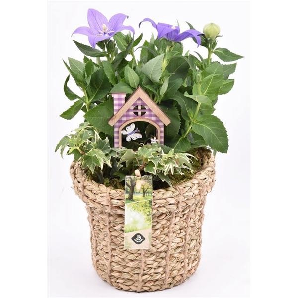 <h4>Touwmand met rand 17cm</h4>