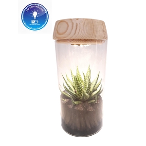 LV18 Glasvaasje + houtdeksel en LED